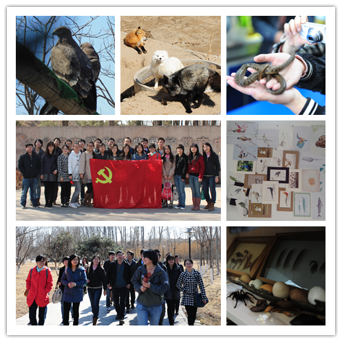 https://earth.ucas.ac.cn/upload/images/20151113/参观北京市野生动物救护中心.png